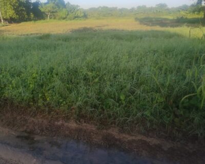 7fc9e09a-4e28-4fdb-89bb-43847c0617c1