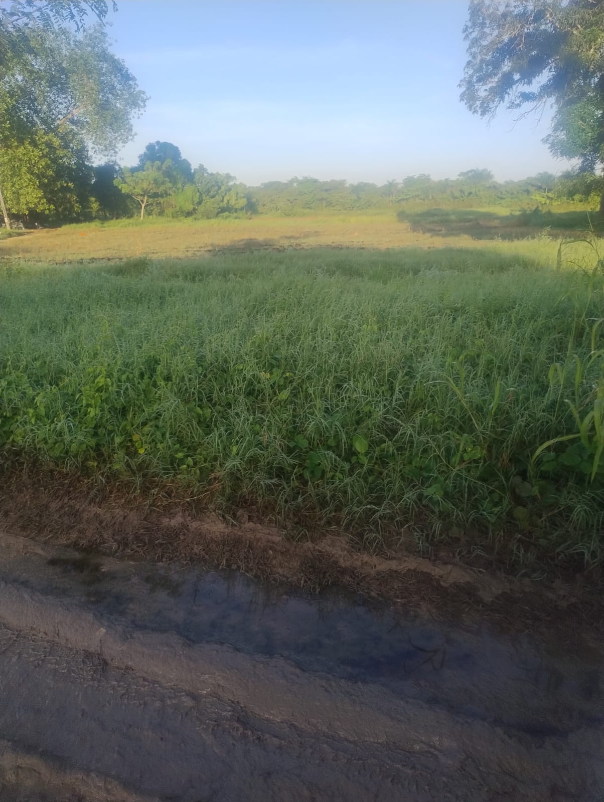 VENO TERRENO EN ARROYO HONDO VIEJO