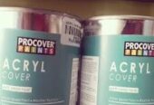 Pintar Y Cambiar Fachada Venta De Pinturas Santo Domingo