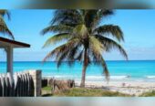 Me Encanta El Caribe!!!