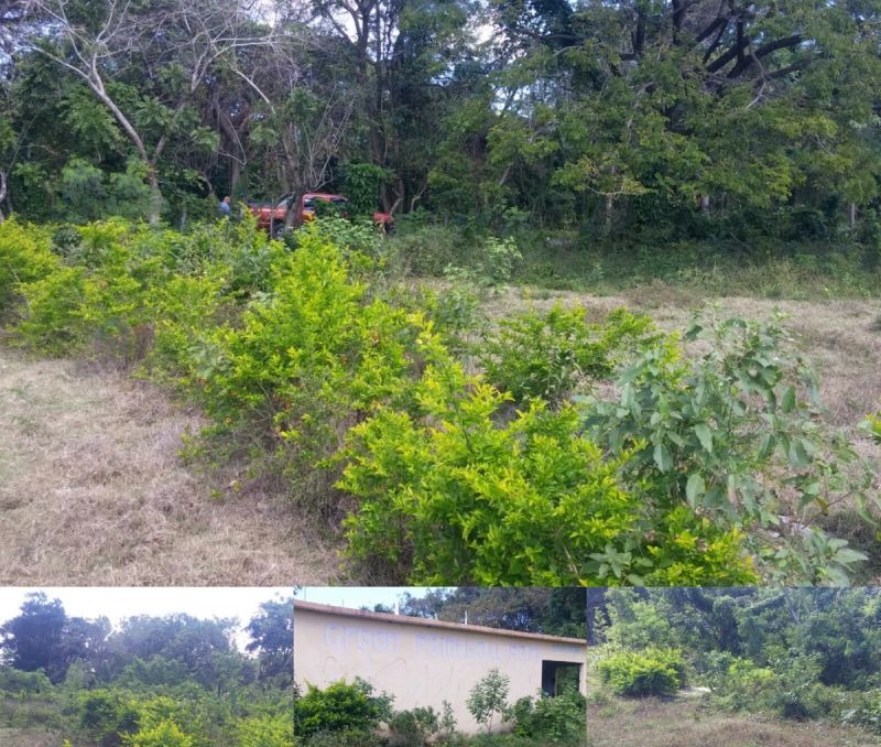 Terrenos En Lineas De Playa, Solares En La Ciudad Y Fincas En Venta! (Rd)