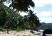 Terrenos Lineales A La Playa, Las Terrenas!