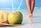 Pasare Las Navidades En Republica Dominicana..